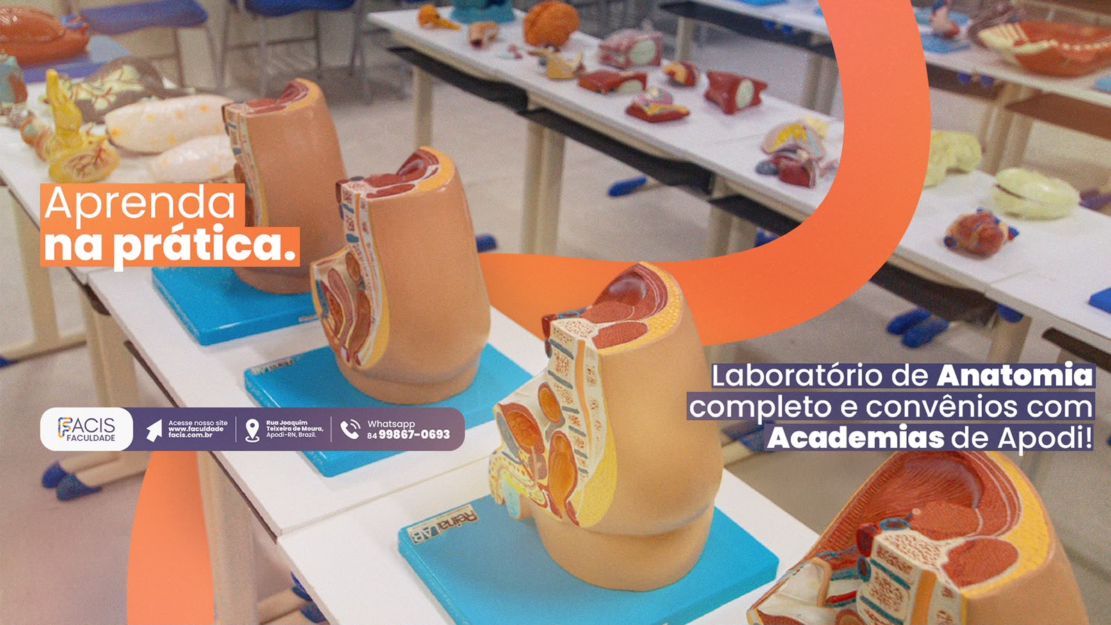 Laborat&oacute;rio de Anatomia completo e conv&ecirc;nios com academias de Apodi